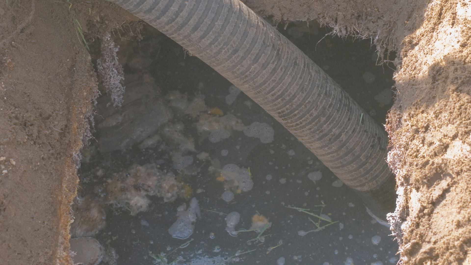 Safe, compliant oily water disposal across West Sussex. Trusted by commercial and industrial clients for fast collection, licensed transport, and full documentation.