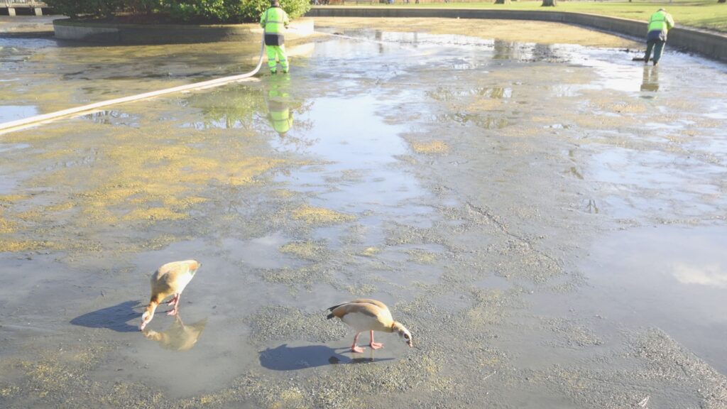 Professional pond and well draining services across West Sussex. Safe water removal, sludge clearance, and licensed disposal for domestic and commercial clients.